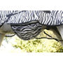 Obrázek Antialergická deka proti hmyzu pro koně s krkem ZEBRA, Kerbl