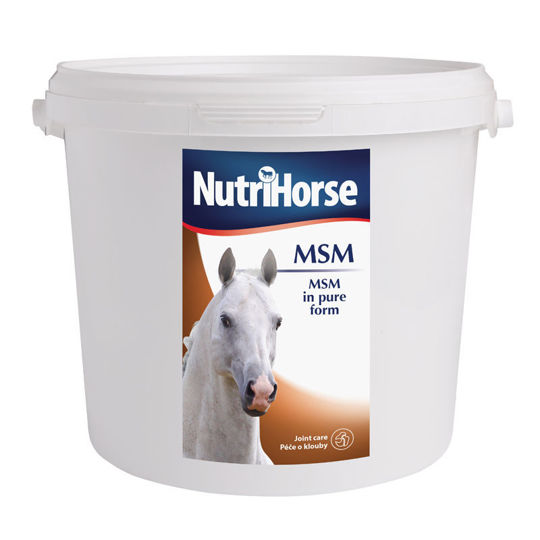 Picture of Nutrihorse MSM