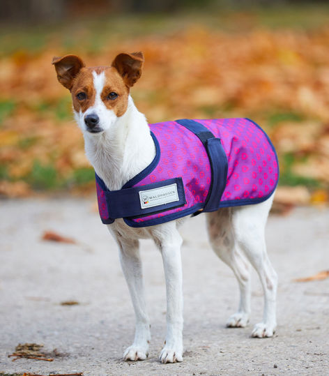 Obrázek Waldhausen kabátek pro psa se srdíčky