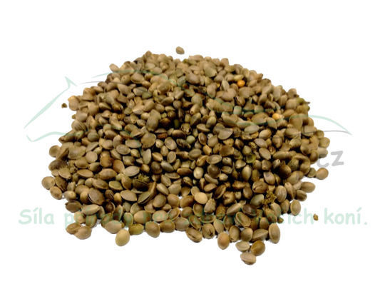 Obrázek Konopné semínko 1 kg
