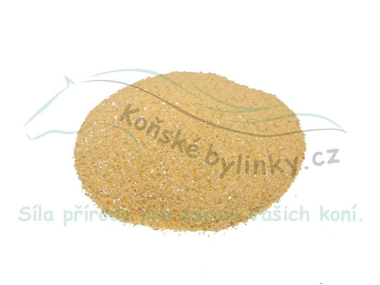 Obrázek Česnek granulovaný 1kg