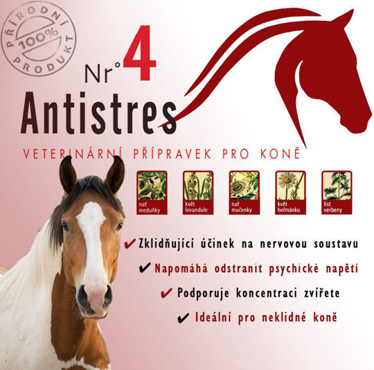 Obrázek HERBAL HORSE NR°4 ANTISTRES