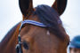 Picture of Browband Blue & Crystal